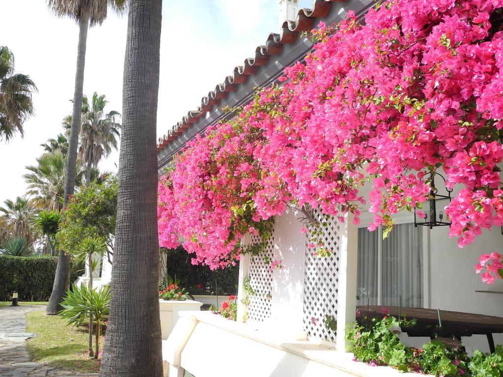 Dominion Apartments Estepona Exteriér fotografie